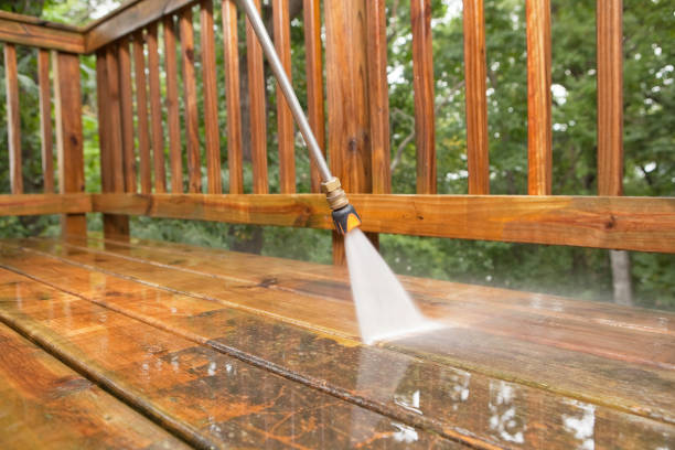 Best Roof Cleaning and Mildew Removal in Sunnyvale, CA